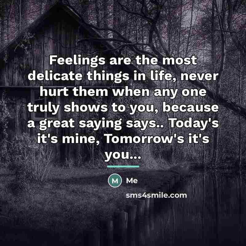 “Feelings are the most delicate things in life, never hurt…” quote by Me
