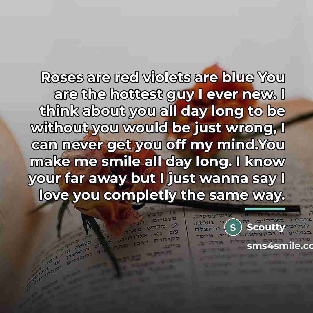 “Roses are red violets are blue You are the hottest…” quote by Anonymous