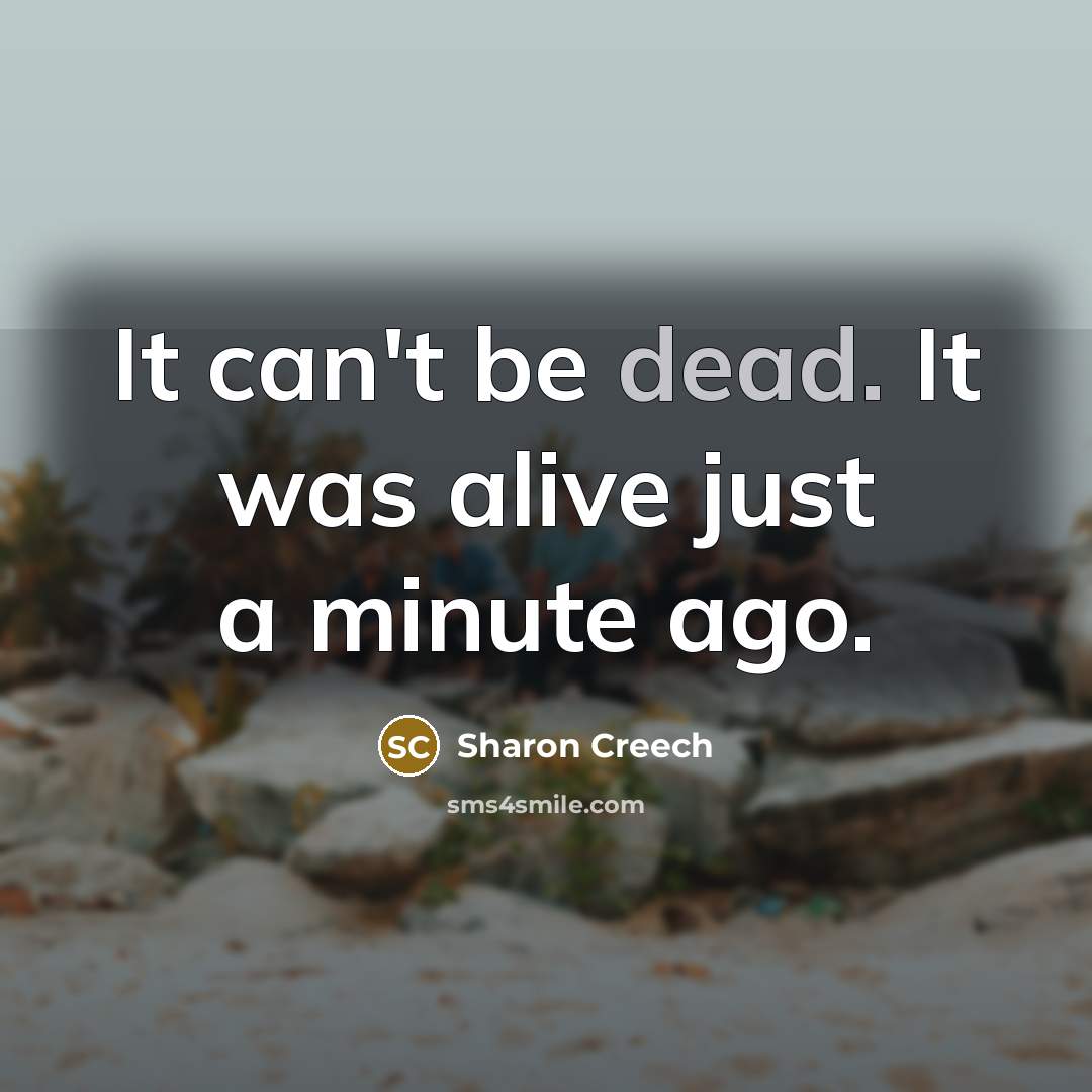 “It can't be dead. It was alive just a minute…” quote by Sharon Creech