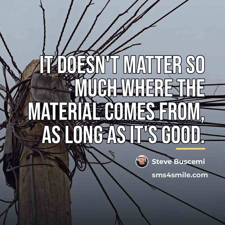 “It doesn't matter so much where the material comes from,…” quote by Steve Buscemi