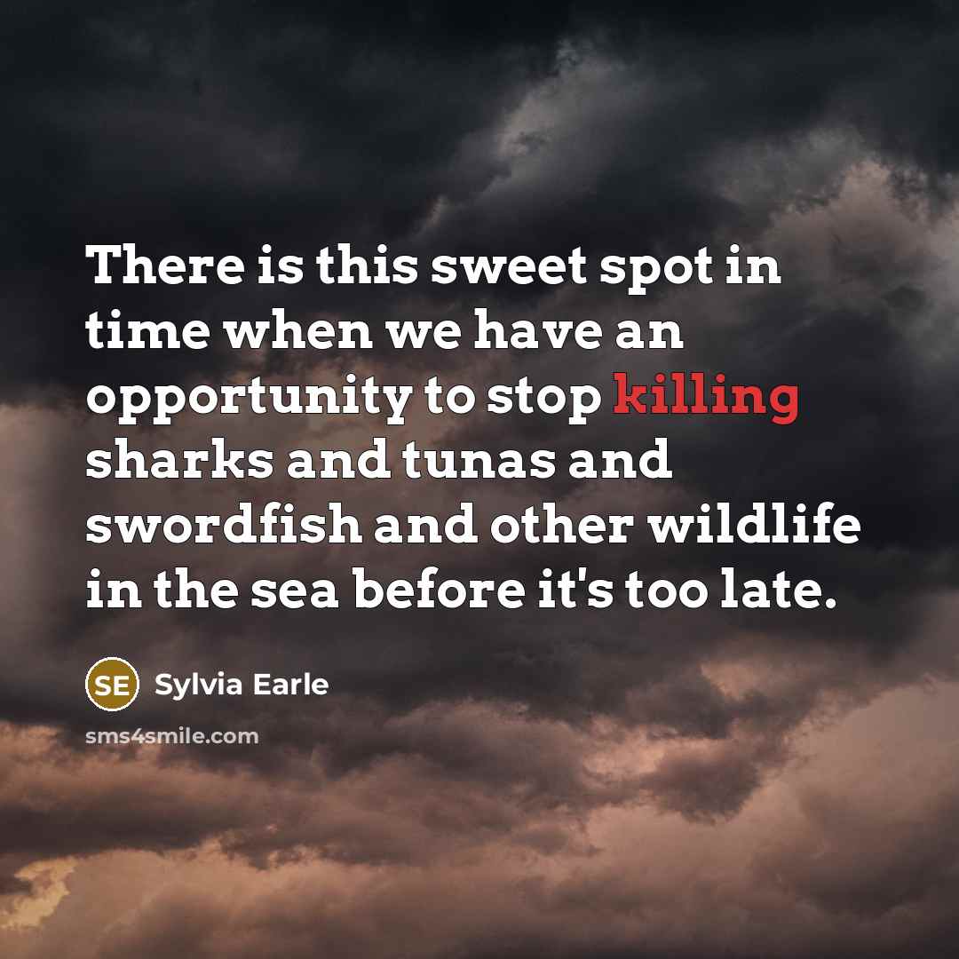 “There is this sweet spot in time when we have…” quote by Sylvia Earle