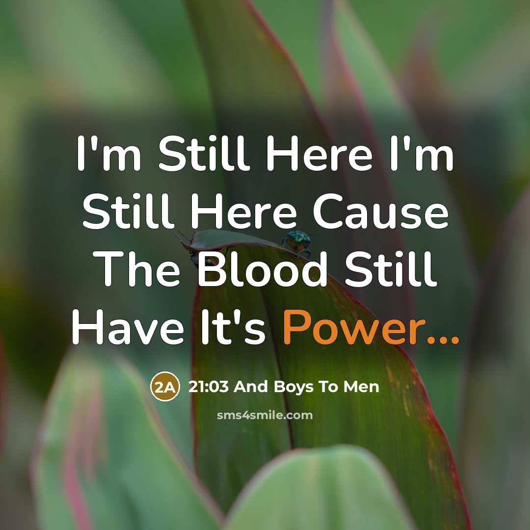 “I'm Still Here I'm Still Here Cause The Blood Still Have It's Power...” quote by 21:03 And Boys To Men
