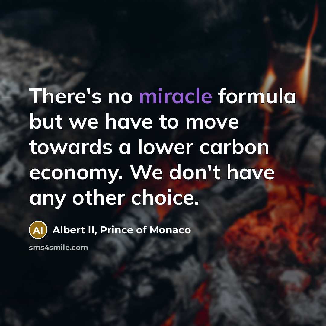 “There's no miracle formula but we have to move towards…” quote by Albert II, Prince of Monaco