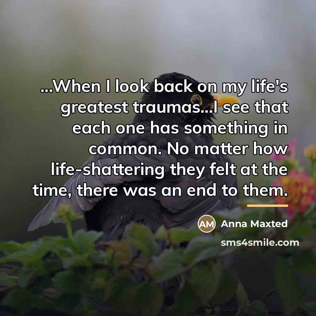 “...When I look back on my life's greatest traumas...I see…” quote by Anna Maxted