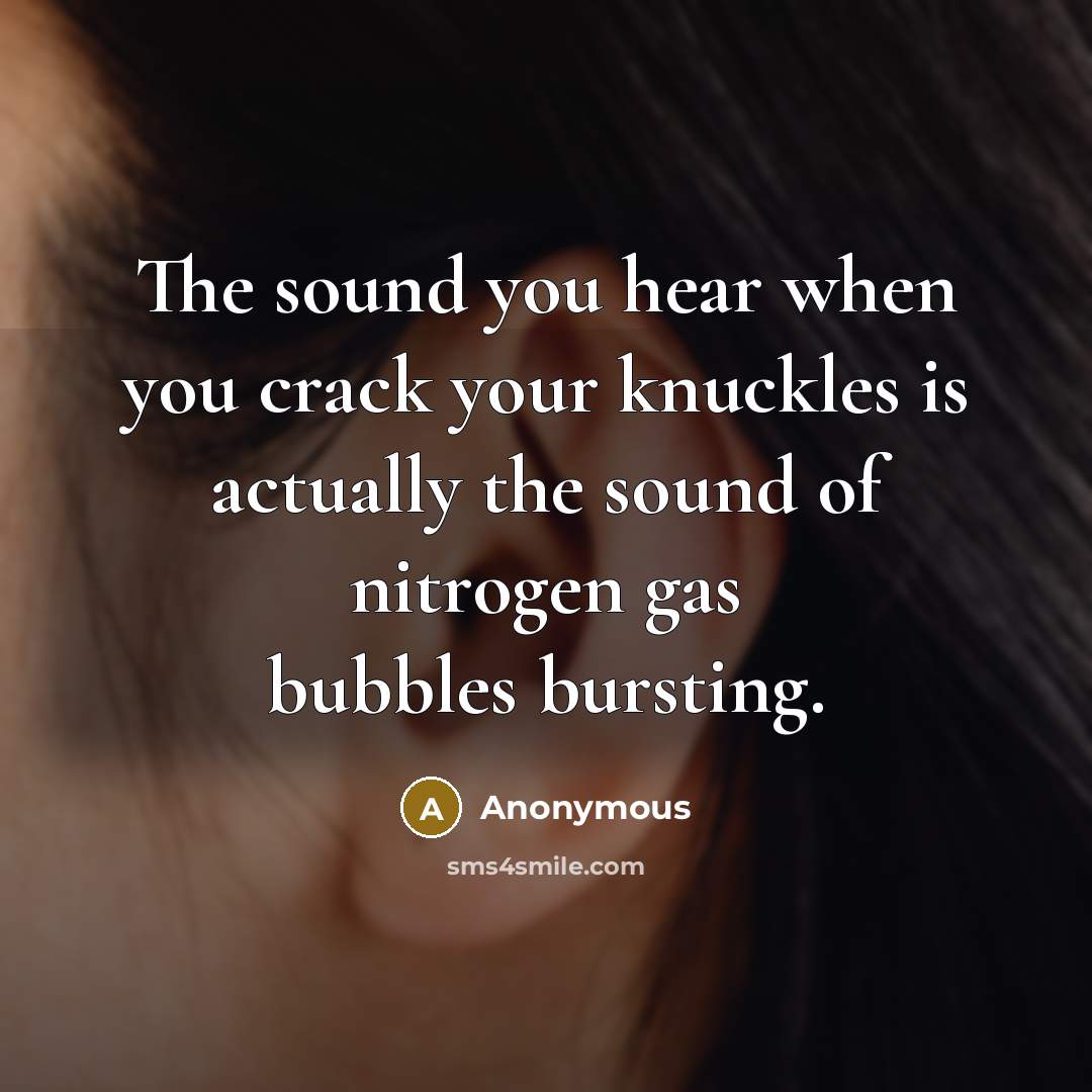 “The sound you hear when you crack your knuckles is actually the sound of nitrogen gas bubbles bursting.” quote by Anonymous