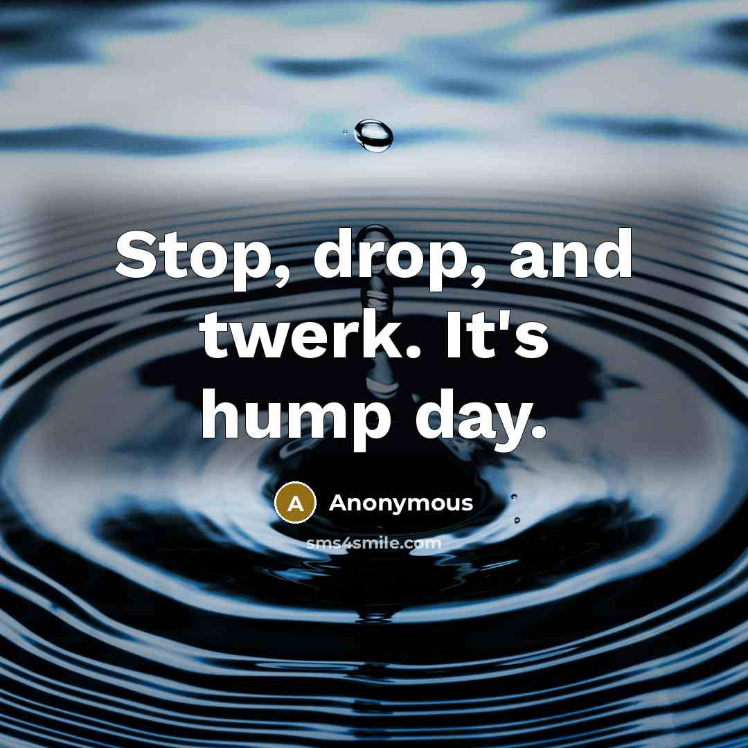 “Stop, drop, and twerk. It's hump day.” quote by Anonymous