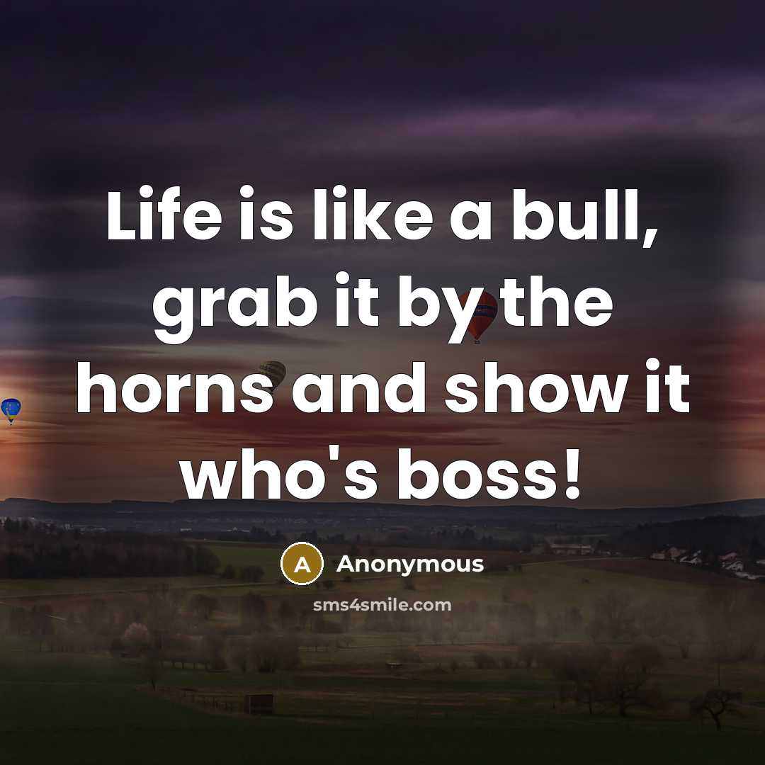 “Life is like a bull, grab it by the horns…” quote by Anonymous