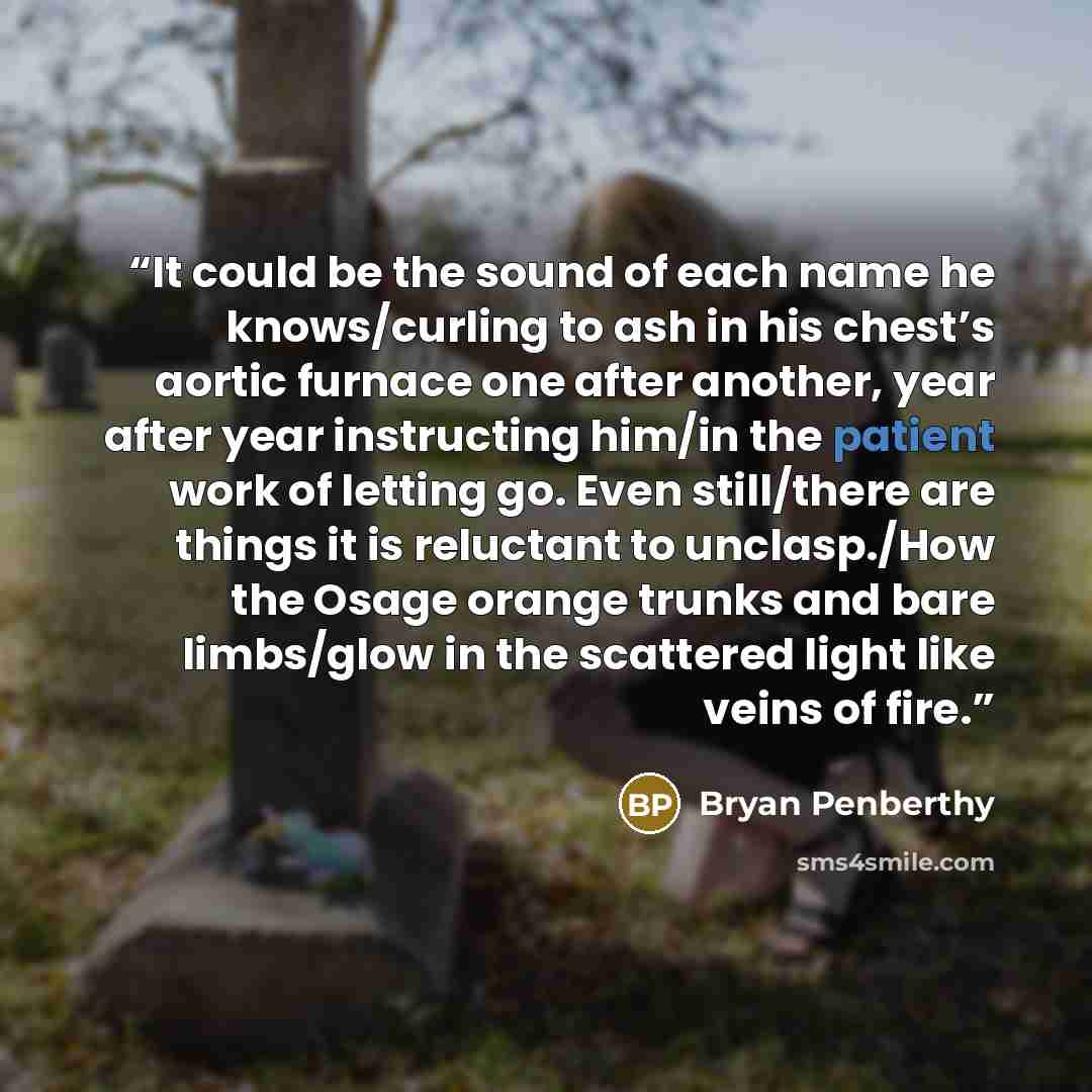 “It could be the sound of each name he knows/curling to ash in his chest’s aortic furnace one after another, year after year instructing him/in the patient work of letting go. Even still/there are things it is reluctant to unclasp./How the Osage orange trunks and bare limbs/glow in the scattered…” quote by Bryan Penberthy