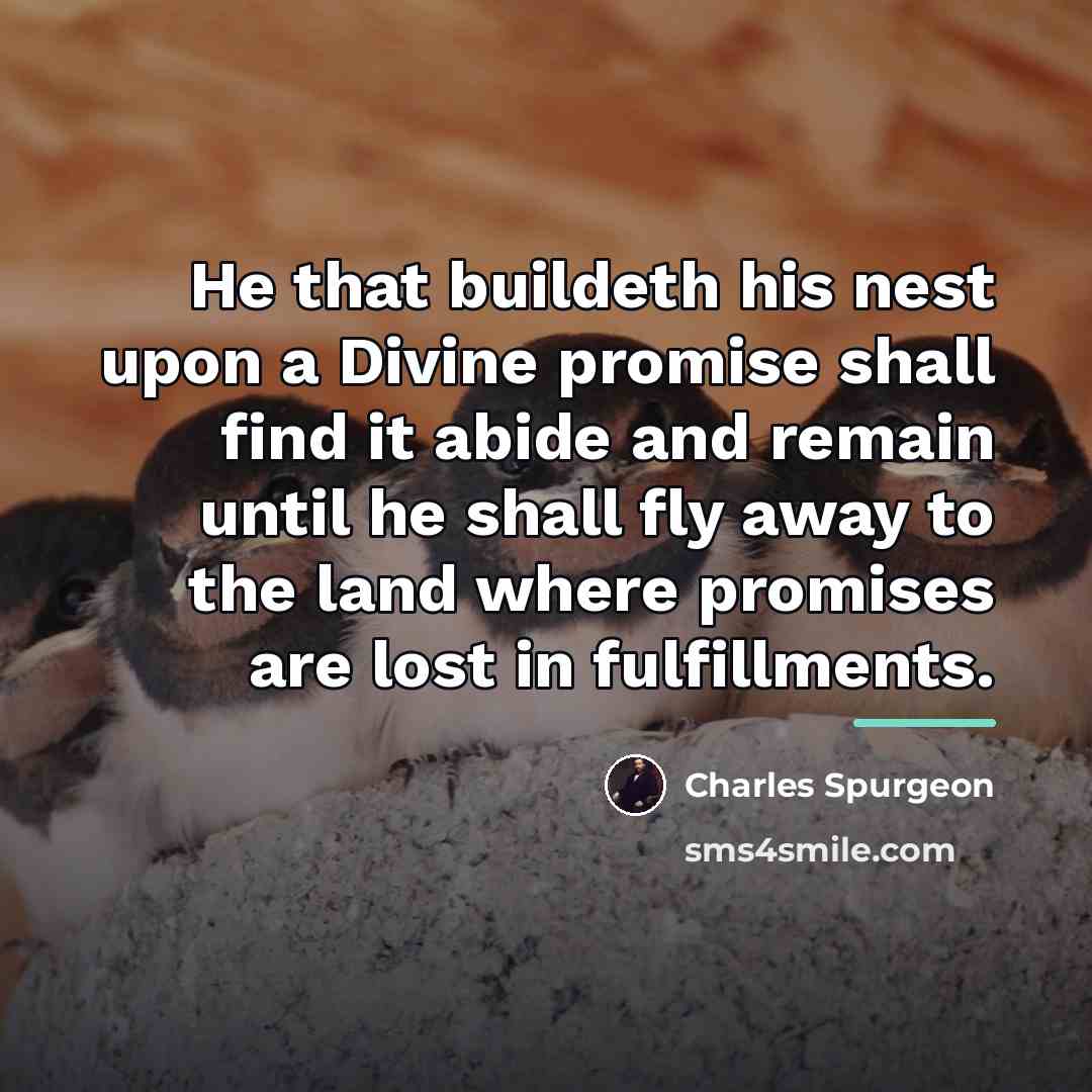 “He that buildeth his nest upon a Divine promise shall…” quote by Charles Spurgeon