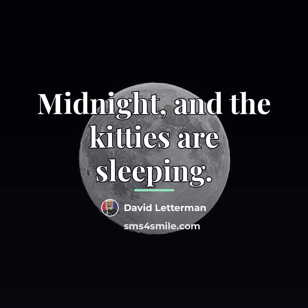 “Midnight, and the kitties are sleeping.…” quote by David Letterman