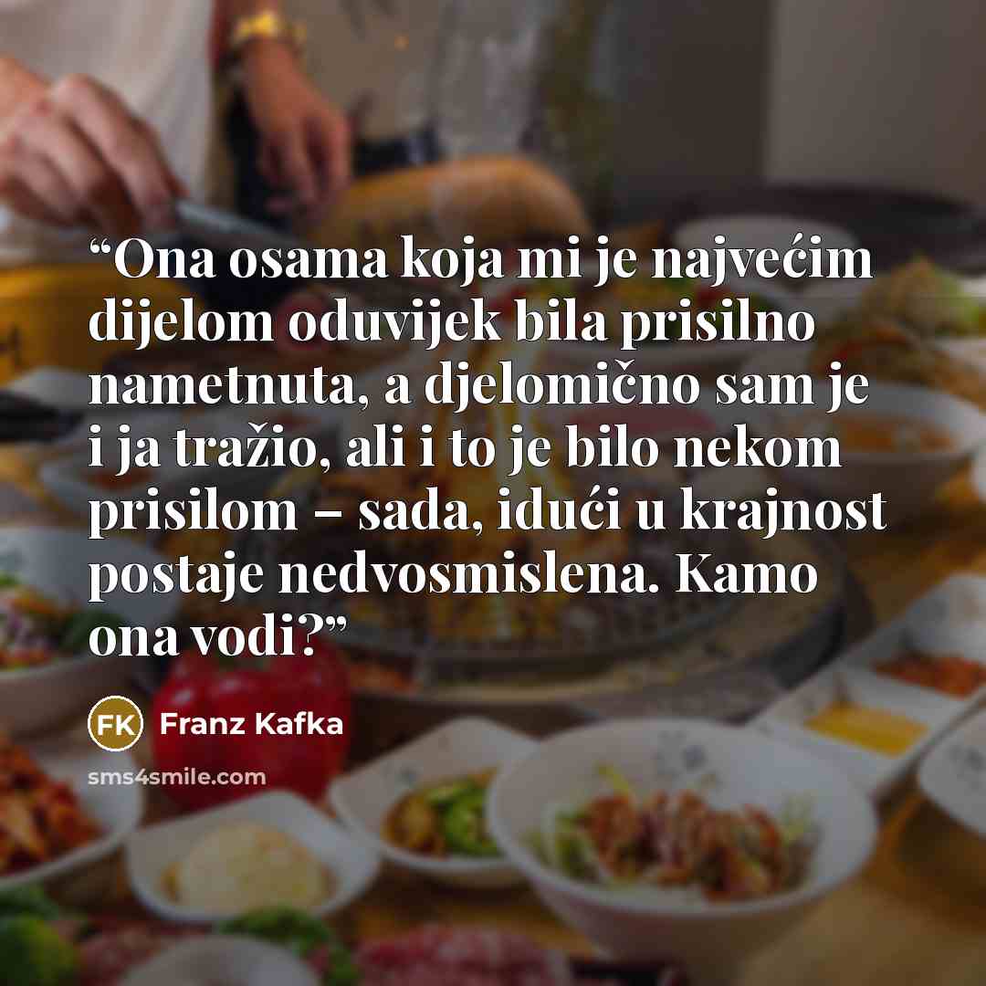 “Ona osama koja mi je najvećim dijelom oduvijek bila prisilno nametnuta, a djelomično sam je i ja tražio, ali i to je bilo nekom prisilom – sada, idući u krajnost postaje nedvosmislena. Kamo ona vodi?” quote by Franz Kafka