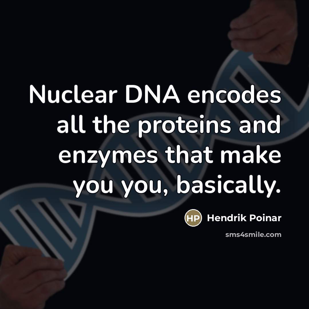“Nuclear DNA encodes all the proteins and enzymes that make…” quote by Hendrik Poinar