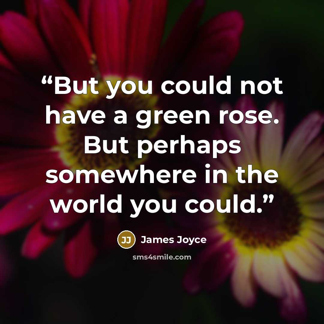 “But you could not have a green rose. But perhaps somewhere in the world you could.” quote by James Joyce