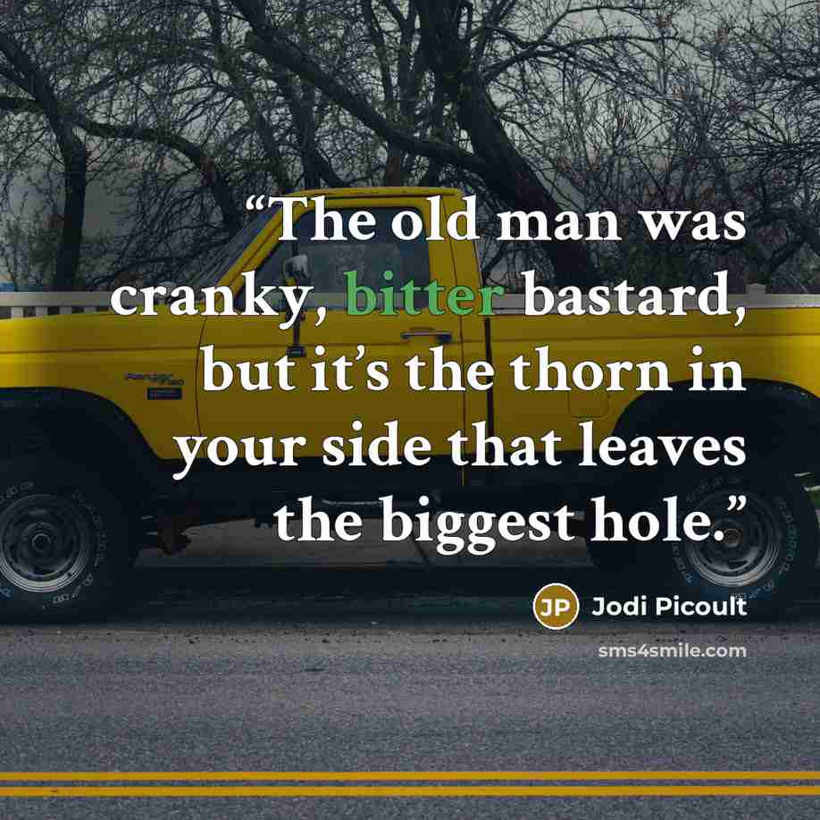 “The old man was cranky, bitter bastard, but it’s the thorn in your side that leaves the biggest hole.” quote by Jodi Picoult