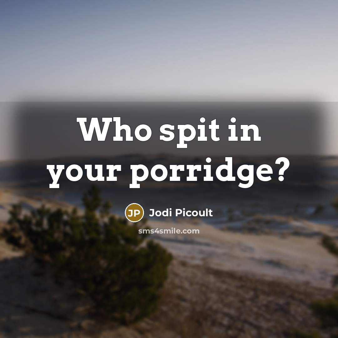 “Who spit in your porridge?…” quote by Jodi Picoult