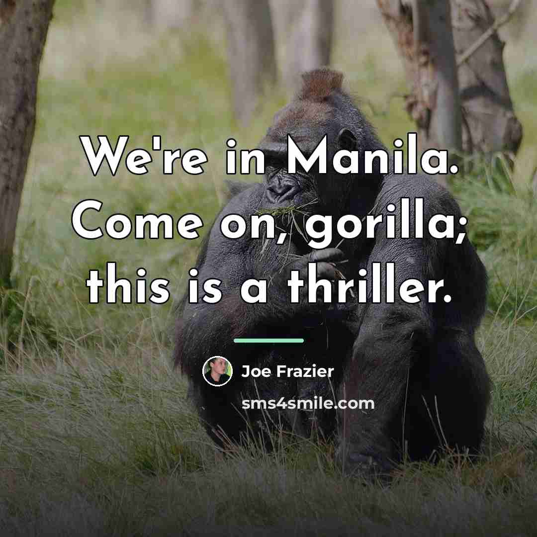 “We're in Manila. Come on, gorilla; this is a thriller.…” quote by Joe Frazier