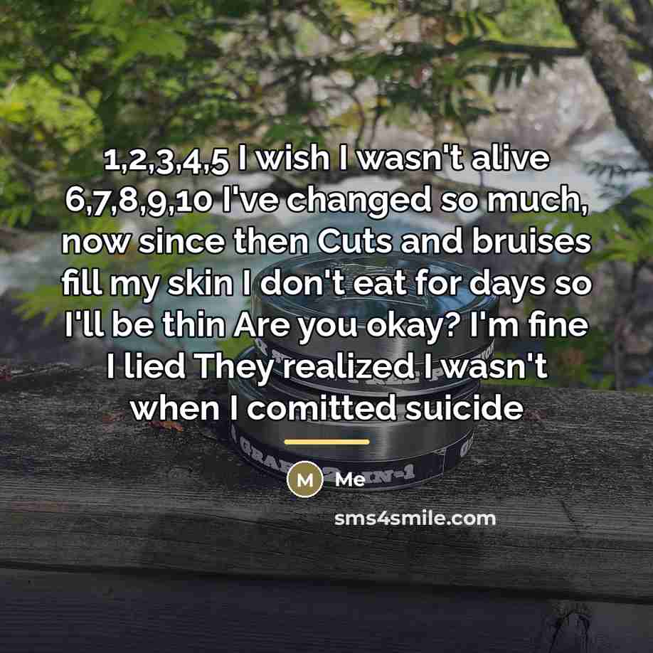 “1,2,3,4,5 I wish I wasn't alive 6,7,8,9,10 I've changed so…” quote by Me