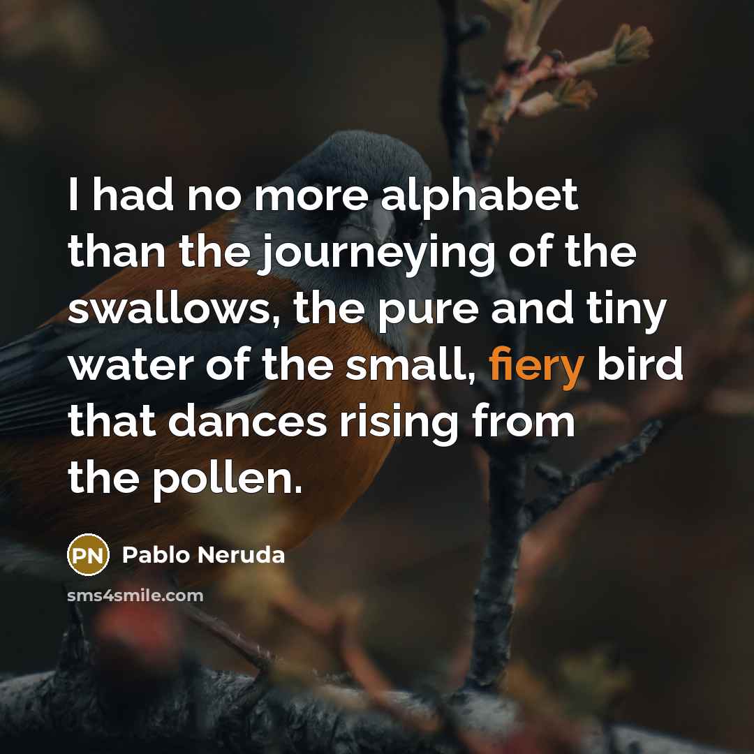 “I had no more alphabet than the journeying of the…” quote by Pablo Neruda