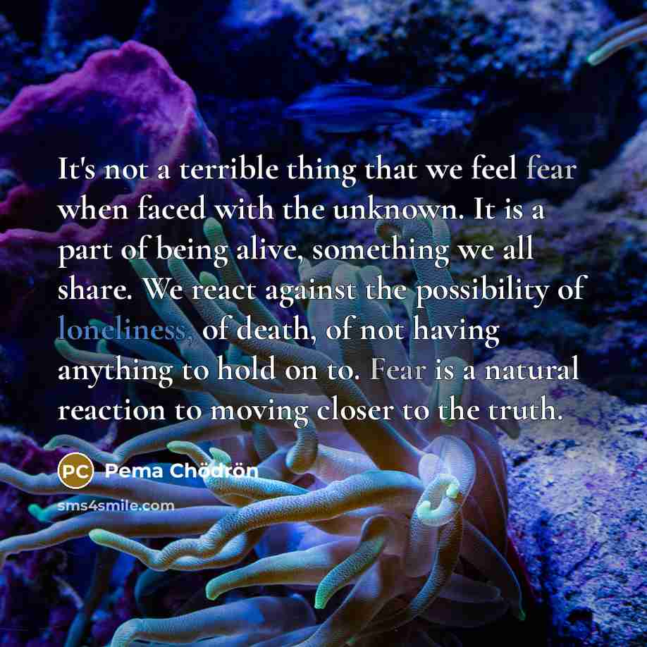 “It's not a terrible thing that we feel fear when…” quote by Pema Chodron