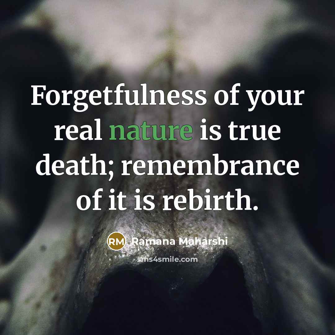 “Forgetfulness of your real nature is true death; remembrance of…” quote by Ramana Maharshi