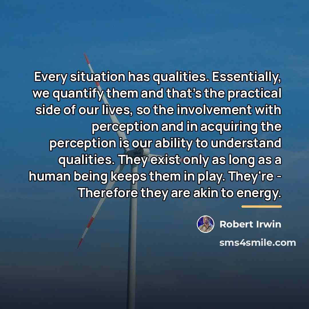 “Every situation has qualities. Essentially, we quantify them and that's…” quote by Robert Irwin