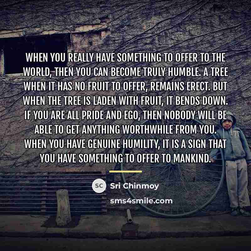 “When you really have something to offer to the world,…” quote by Sri Chinmoy