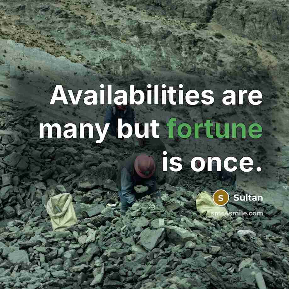 “Availabilities are many but fortune is once.…” quote by Sultan