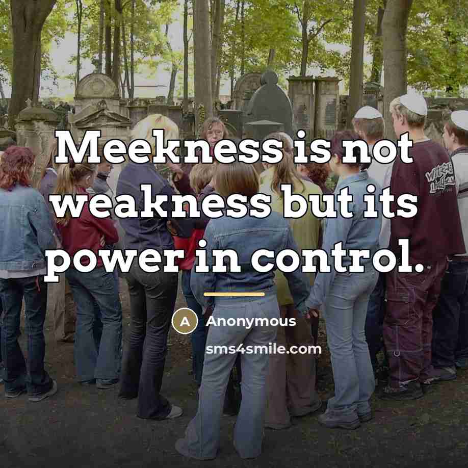 “Meekness is not weakness but its power in control.…” quote by NameIME JOE IFIOK