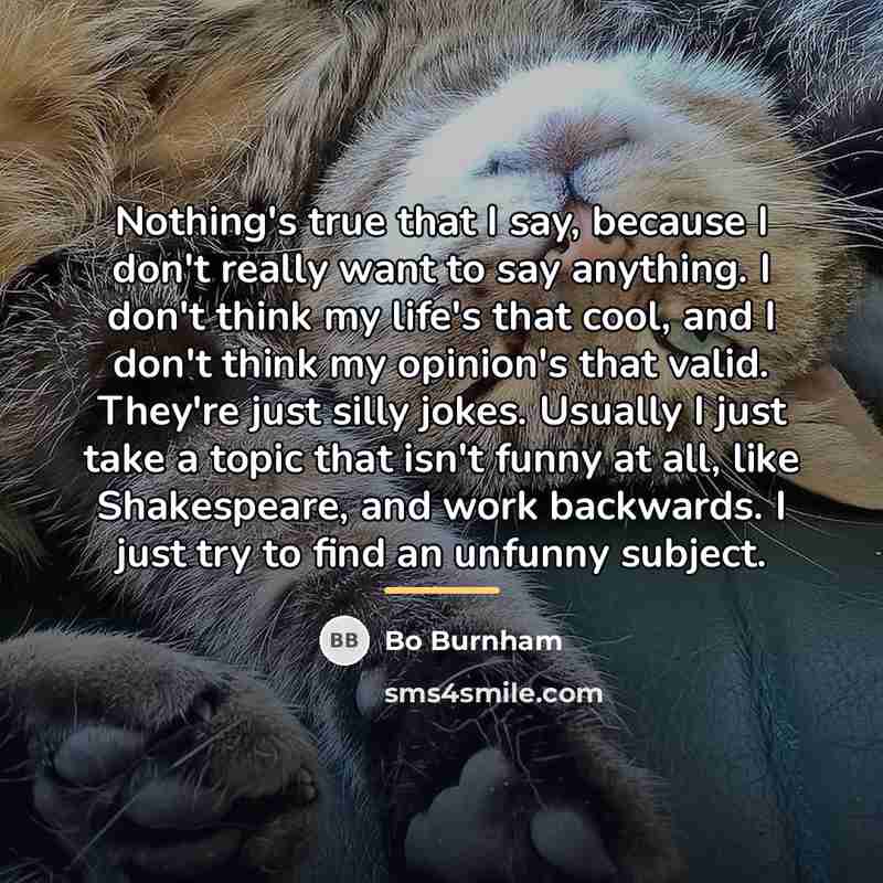 “Nothing's true that I say, because I don't really want…” quote by Bo Burnham