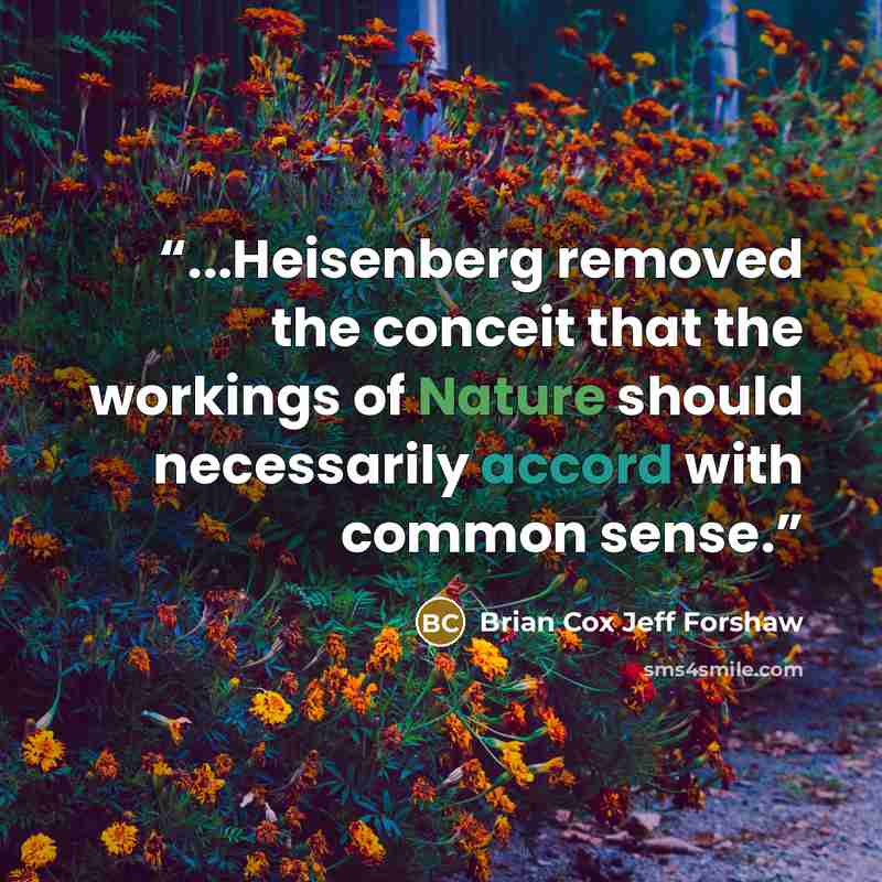 “...Heisenberg removed the conceit that the workings of Nature should necessarily accord with common sense.” quote by Brian Cox Jeff Forshaw