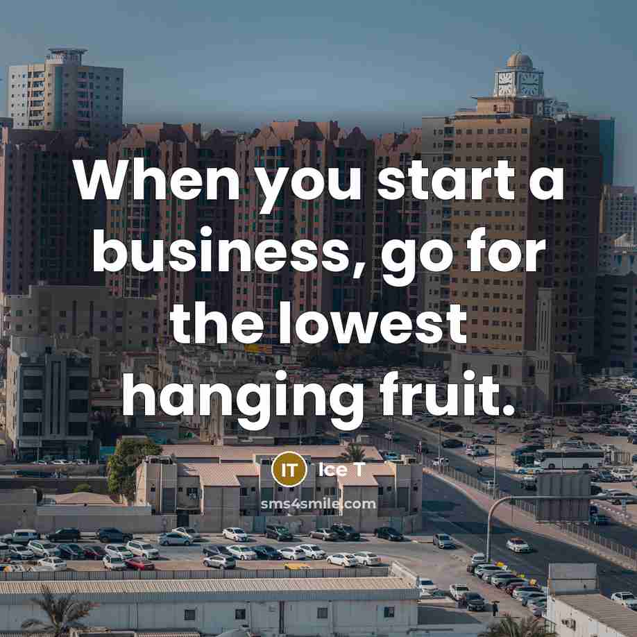 “When you start a business, go for the lowest hanging…” quote by Ice T