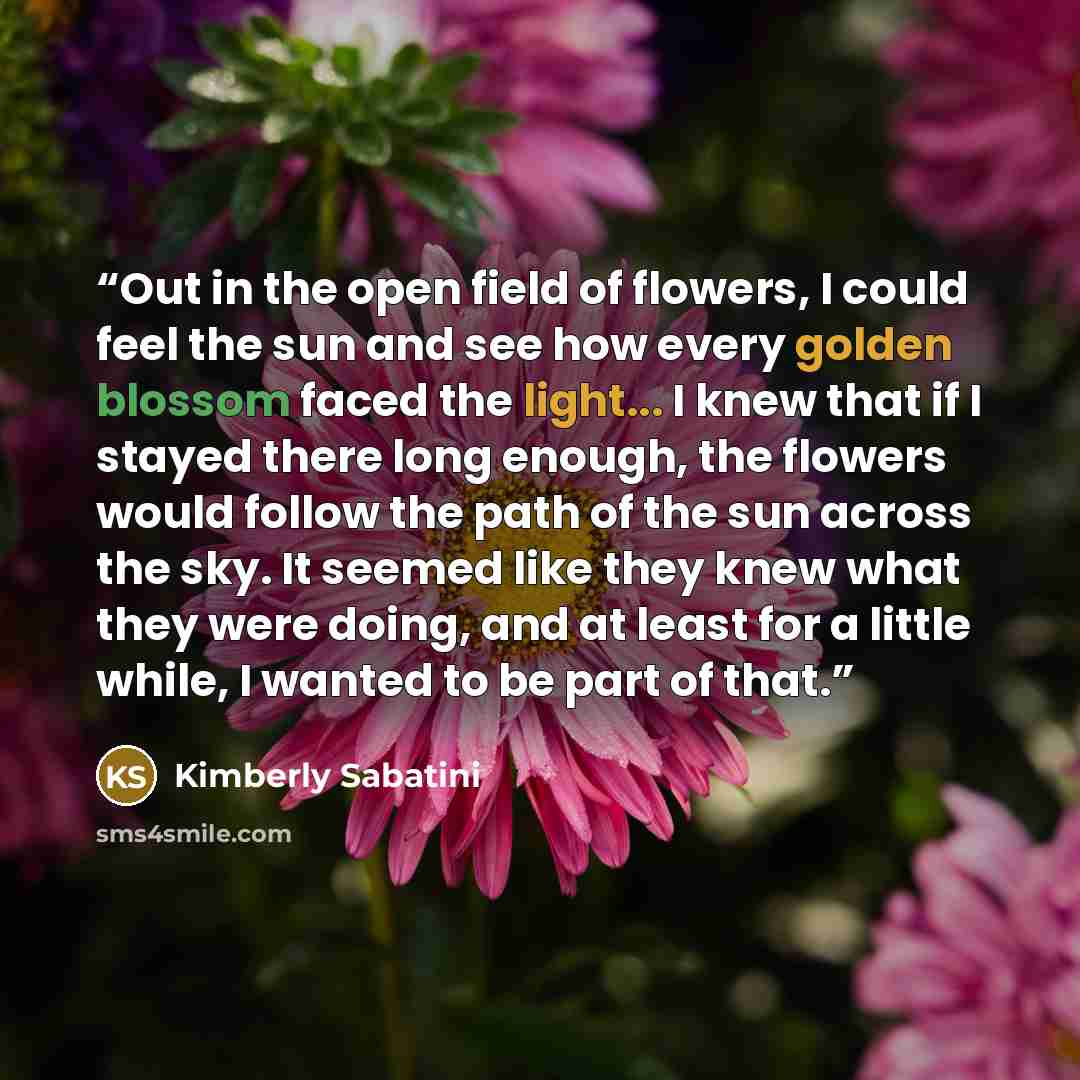 “Out in the open field of flowers, I could feel the sun and see how every golden blossom faced the light... I knew that if I stayed there long enough, the flowers would follow the path of the sun across the sky. It seemed like they knew what they were doing, and at least for a little while, I…” quote by Kimberly Sabatini