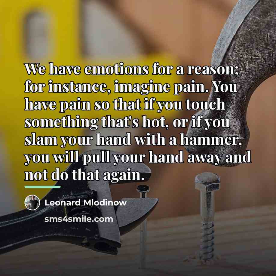 “We have emotions for a reason; for instance, imagine pain.…” quote by Leonard Mlodinow
