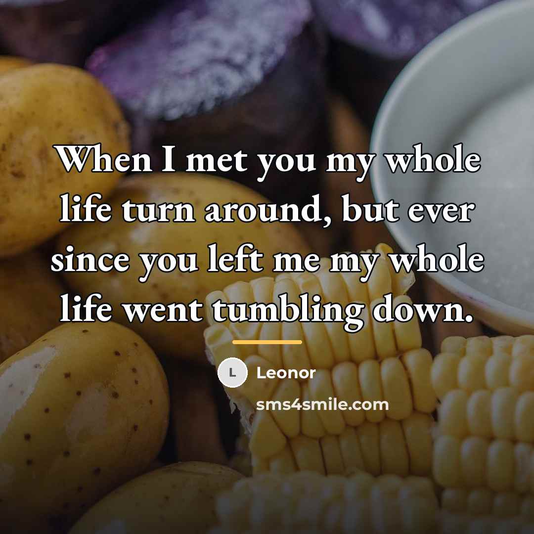 “When I met you my whole life turn around, but…” quote by Leonor