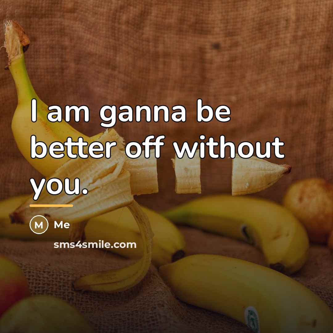 “I am ganna be better off without you.…” quote by Me