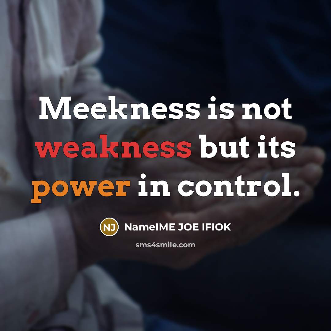 “Meekness is not weakness but its power in control.” quote by NameIME JOE IFIOK