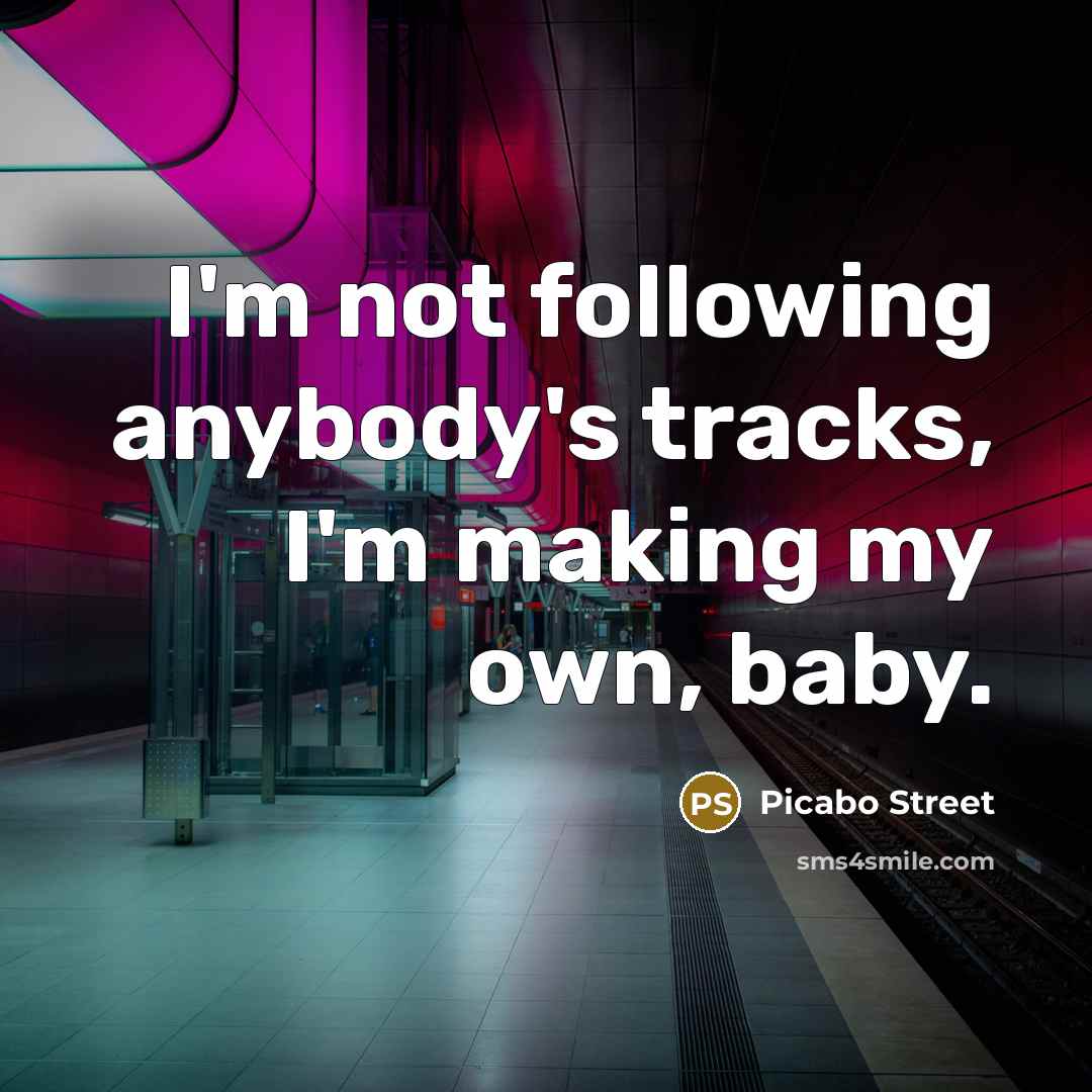 “I'm not following anybody's tracks, I'm making my own, baby.…” quote by Picabo Street