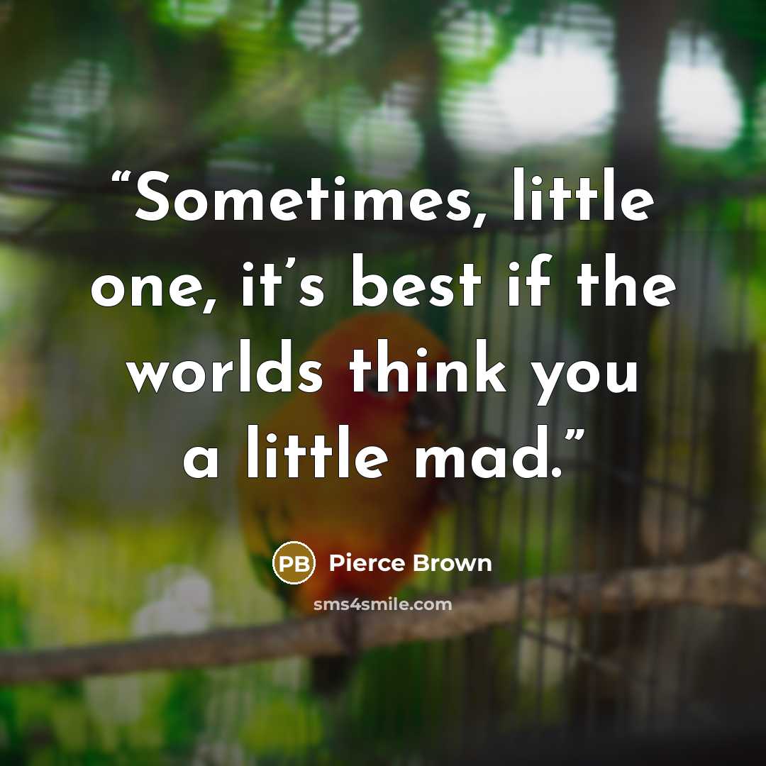 “Sometimes, little one, it’s best if the worlds think you a little mad.” quote by Pierce Brown