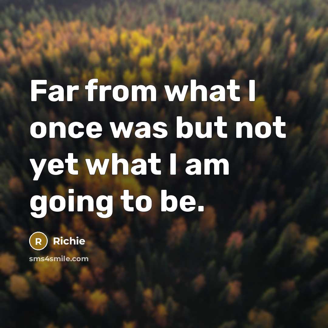 “Far from what I once was but not yet what…” quote by Richie