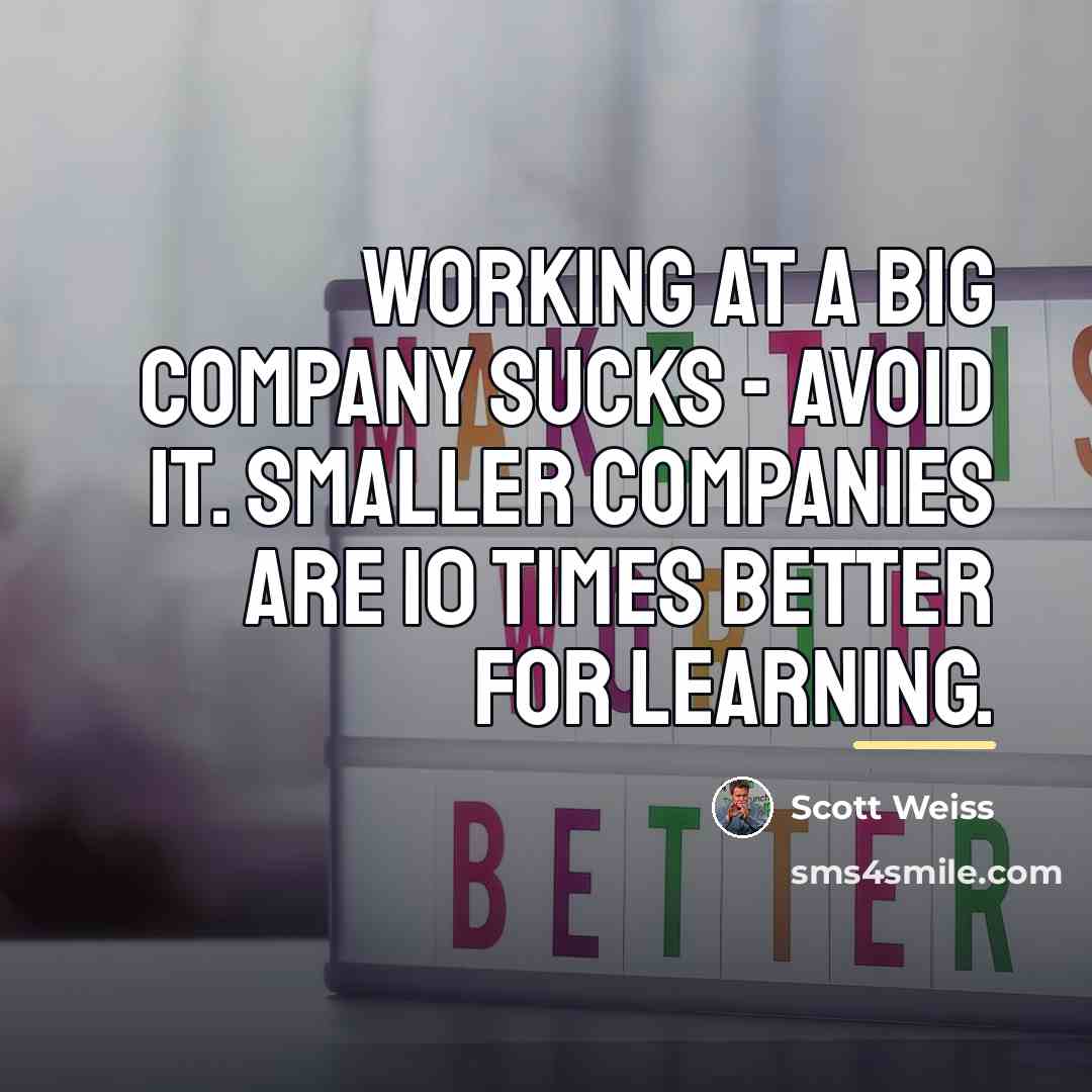 “Working at a big company sucks - avoid it. Smaller…” quote by Scott Weiss