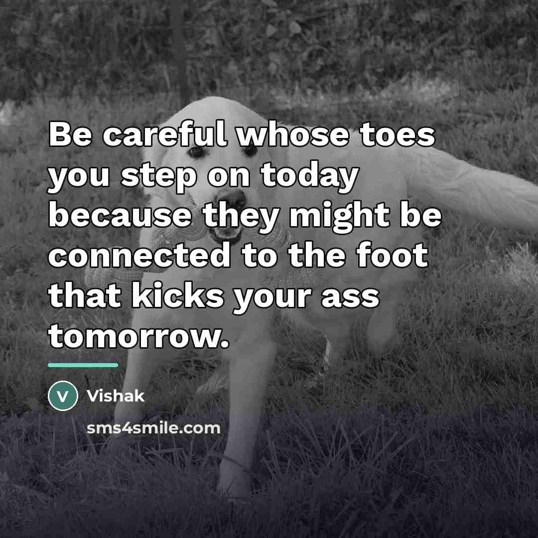 “Be careful whose toes you step on today because they…” quote by Vishak