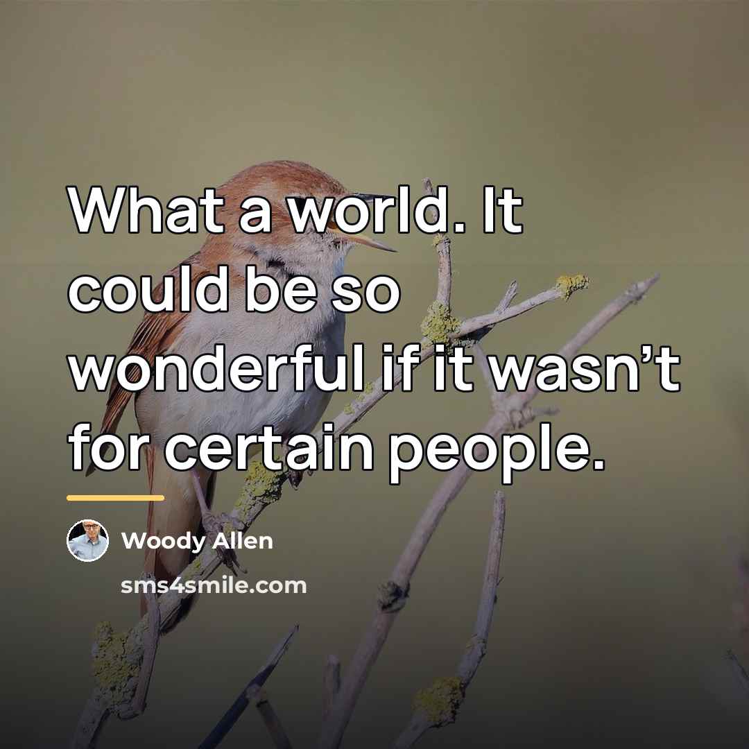 “What a world. It could be so wonderful if it…” quote by Woody Allen