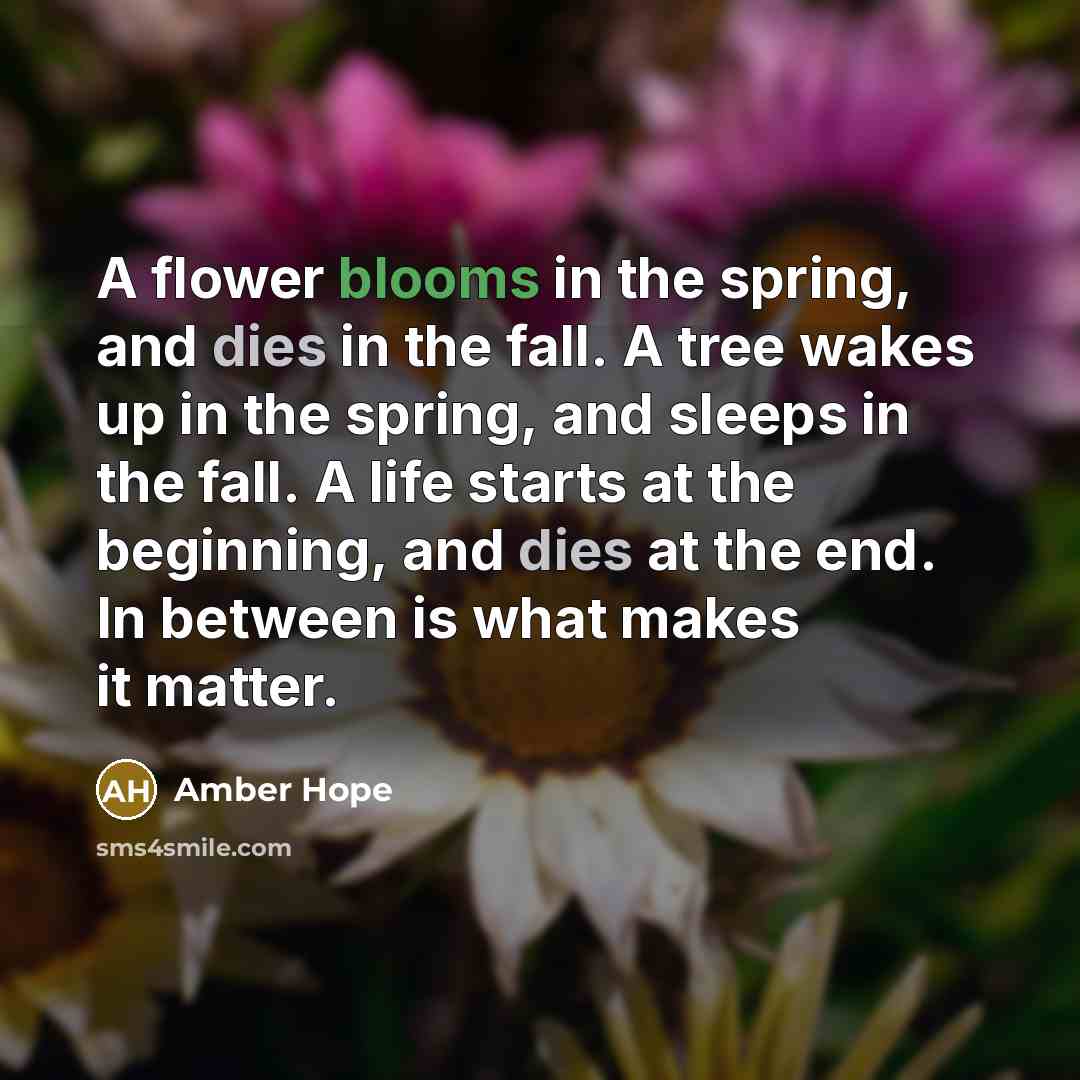 “A flower blooms in the spring, and dies in the…” quote by Amber Hope