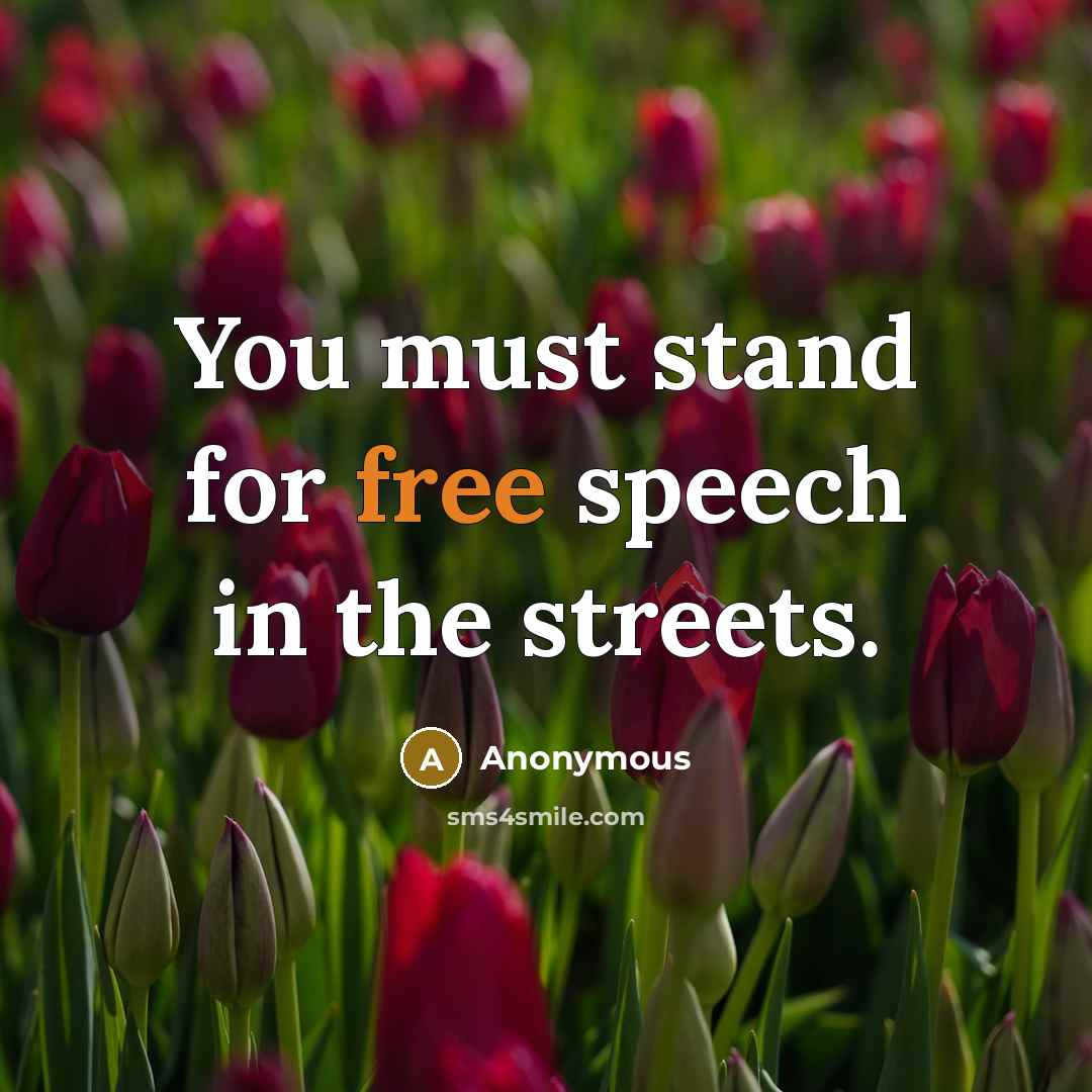 “You must stand for free speech in the streets.…” quote by Anonymous