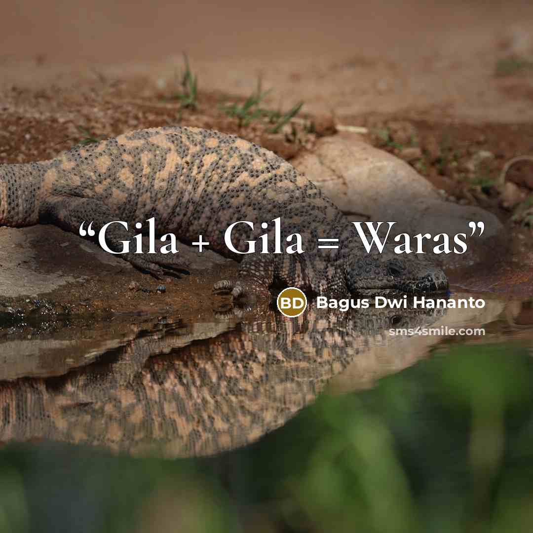 “Gila + Gila = Waras” quote by Bagus Dwi Hananto