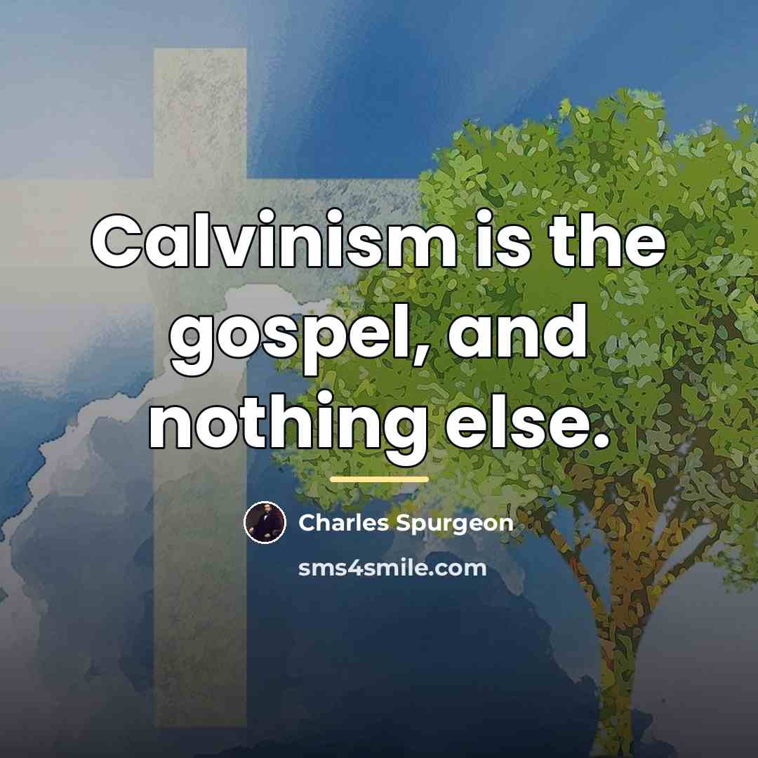 “Calvinism is the gospel, and nothing else.…” quote by Charles Spurgeon