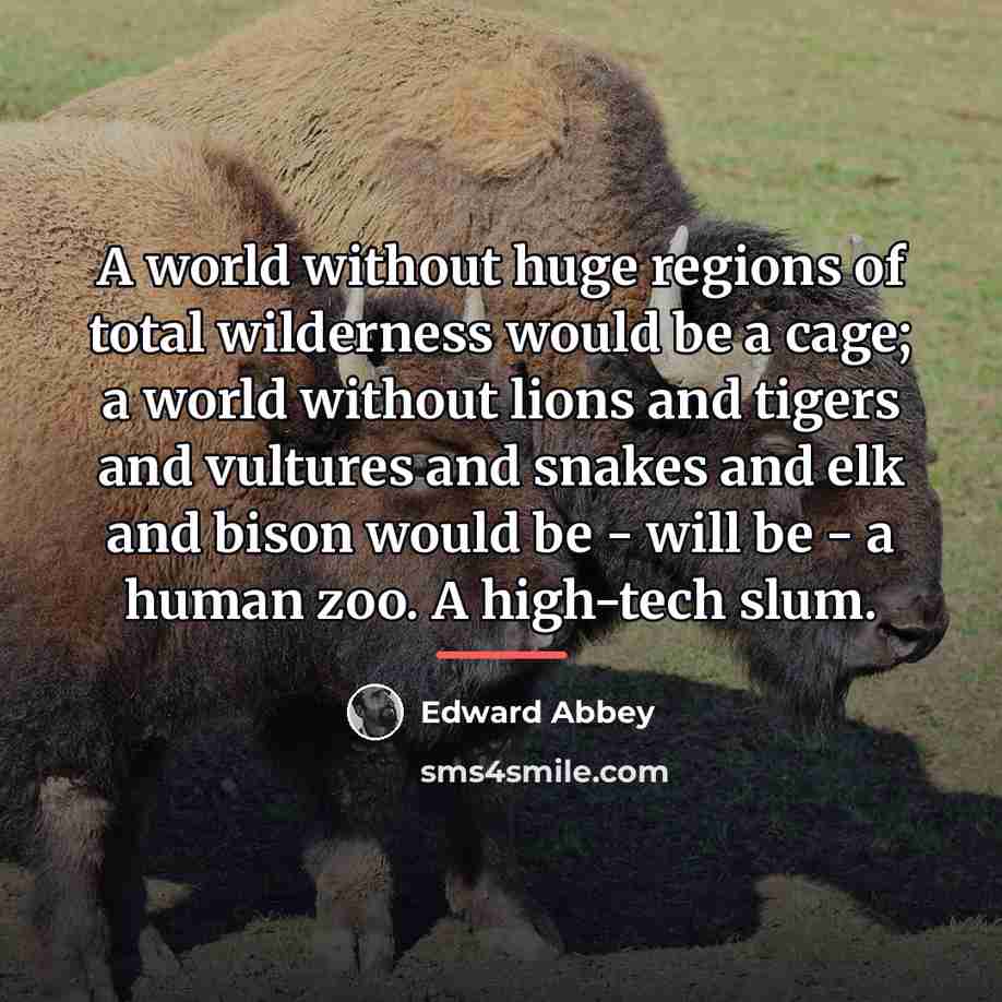 “A world without huge regions of total wilderness would be…” quote by Edward Abbey