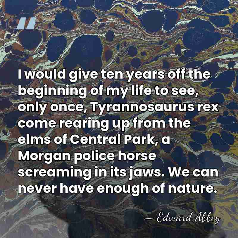 I would give ten years off the beginning of my life to&hellip; - Edward Abbey