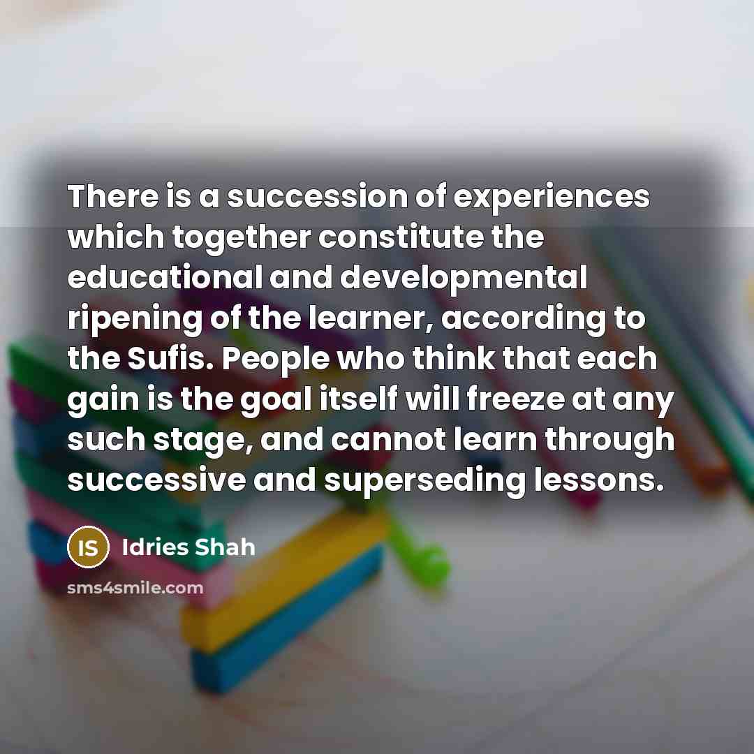 “There is a succession of experiences which together constitute the…” quote by Idries Shah