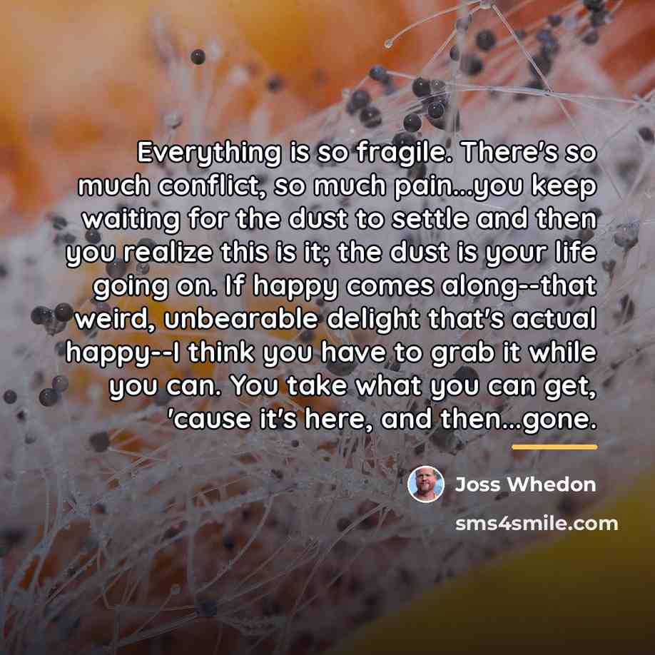 “Everything is so fragile. There's so much conflict, so much…” quote by Joss Whedon
